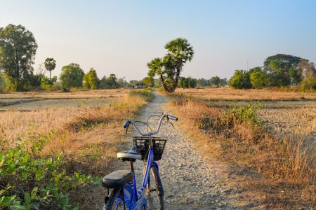 Best Things to do in 4000 Islands - Cycling in Paddy Field